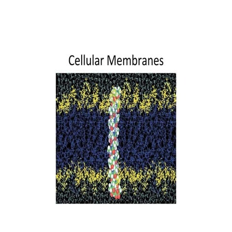 Lecture 2-PM-Cellular Membranes_structure.ppt