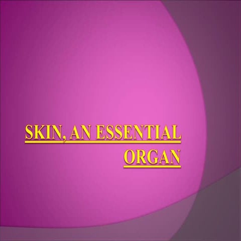 Skin An Essential Organ