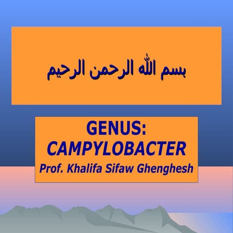 Lecture 20 Campylocbacter and Helicobacter