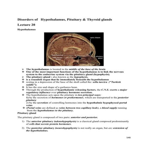 Lecture 20 disorders of hypothalamus, pituitary and thyroid glands - Pathology
