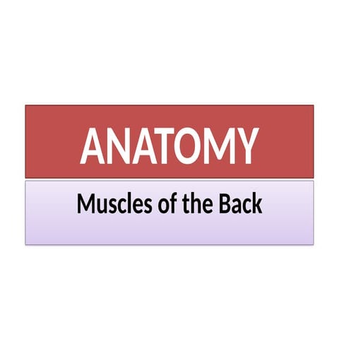 The muscles of the back lecture 21.pptx.