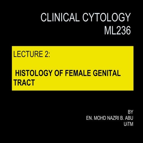 Histology Of Female Genital Tract