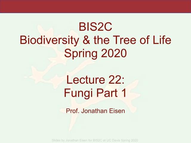 BIS2C_2020. Lecture 22 Fungi Part 1