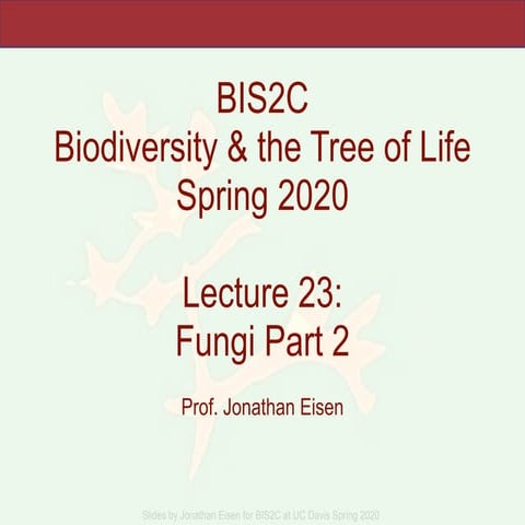 BIS2C_2020. Lecture 23 Fungi Part 2