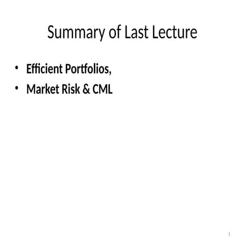 efficient portfolio market risk and CML line