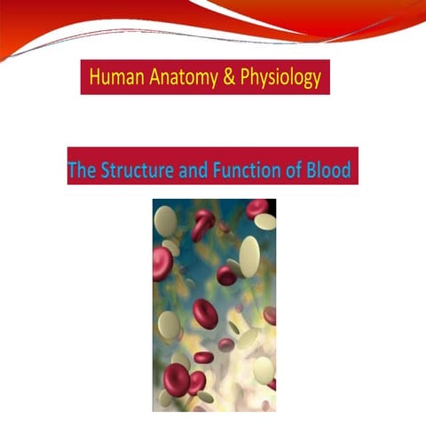 lecture_24_physiology-4_3-converted.pptx