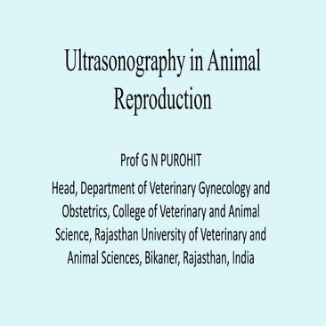 Lecture 24 Ultrasonography in animal reproduction