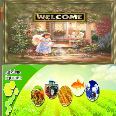  Poverty alleviation through community extension By Allah Dad Khan