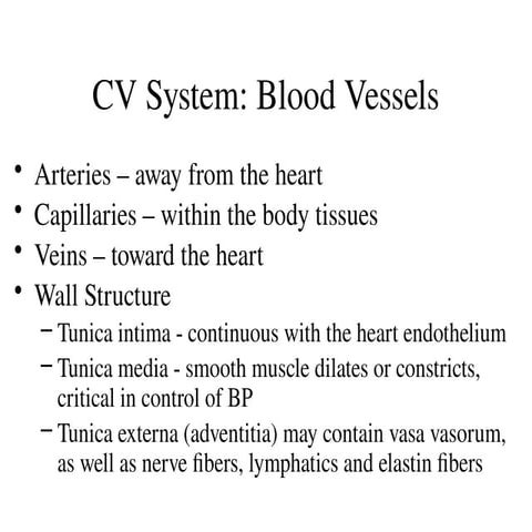Lecture 2 Blood Vessels and circulatory physiology.pptx