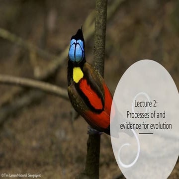 Introduction to evolution | PPTX