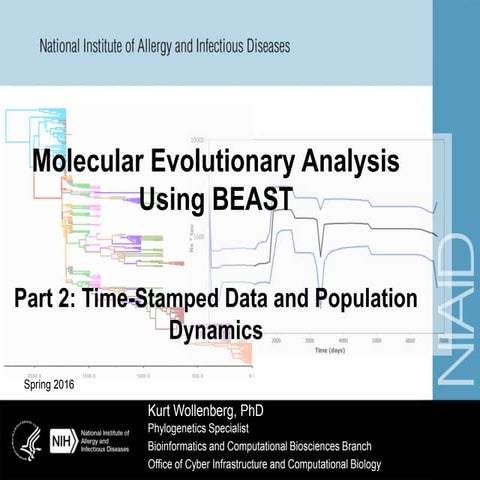 BEAST: Time-stamped data and population dynamics