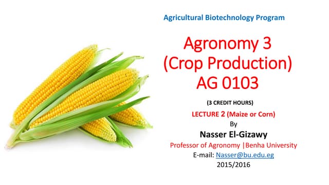 Lecture 2  maize