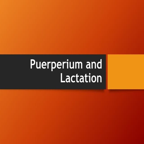 Lecture 2 Puerperium and Lactation