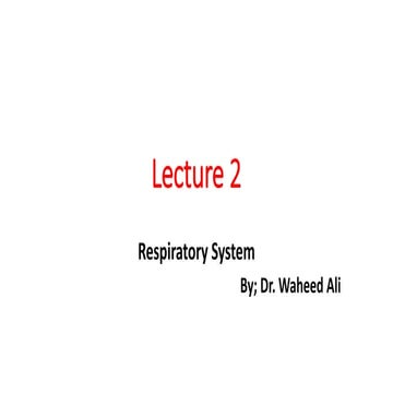 Lecture 2 Respiratory System.pptx
