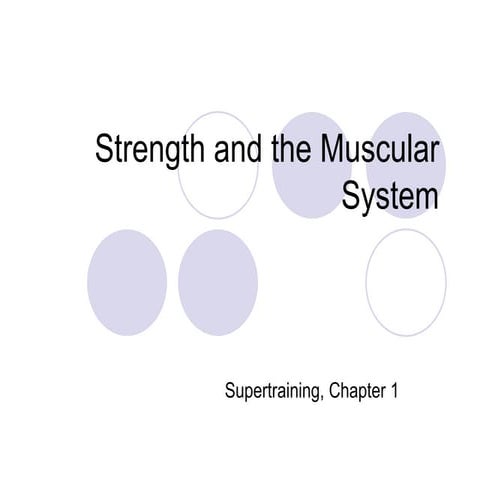Strength and the muscular system