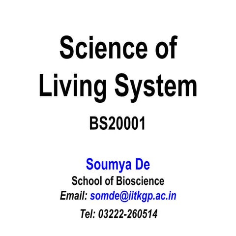 Transcription and Translation