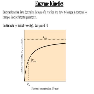 Lecture 3 - 15_02_21.pdf