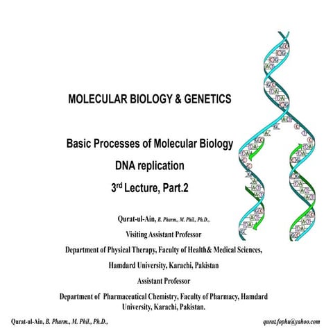 Lecture 3.part 2 DNA Replication