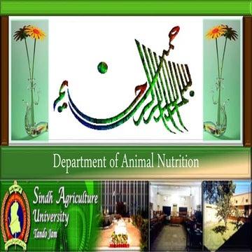 Sampling plans fda | PDF