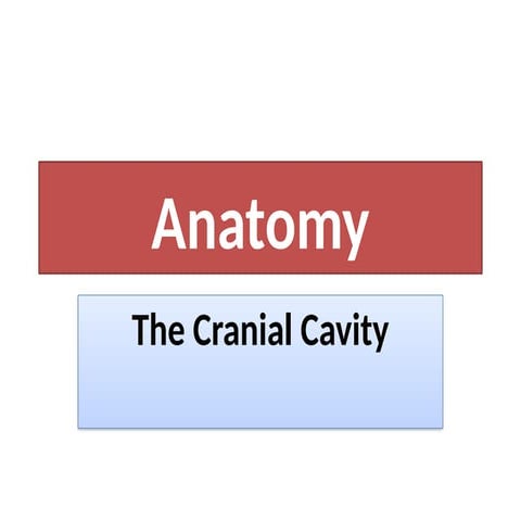 The anatomy of the Cranial Cavity.  lecture 3.pptx