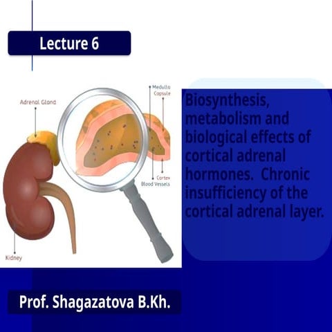 Lecture 3.pptx if fufugufufufufyfuvivvibi