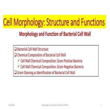 Lecture 3. Cell Morphology_Bacterial Cell Wall (Week 3) (1)_1d77bc2c935ccde9f...
