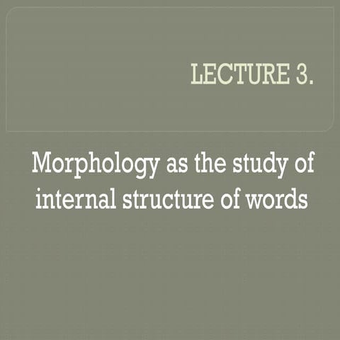 LECTURE morphology as the study of internal