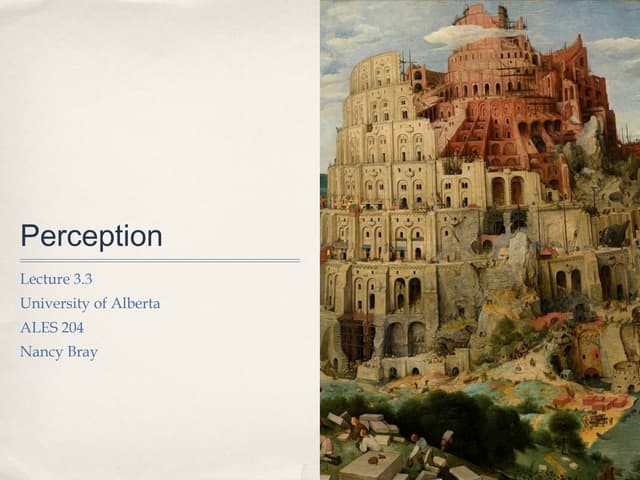 Lecture 3.3 perception student notes