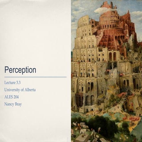 Lecture 3.3 perception student notes
