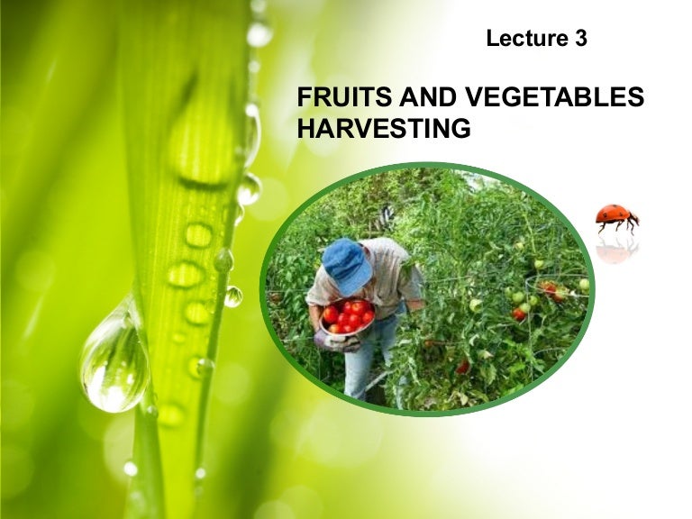Lecture 3 Fruits and Vegetables Harvesting