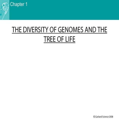 Lecture 3 -the diversity of genomes and the tree of life