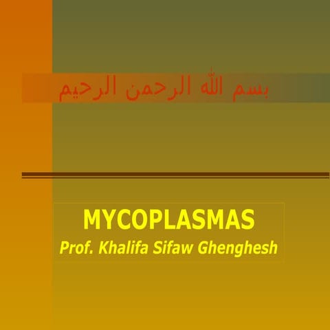 Lecture 31 Mycoplasms