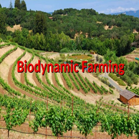 Comprehensive Guide to Biodynamic Farming Principles and Practices | PPT