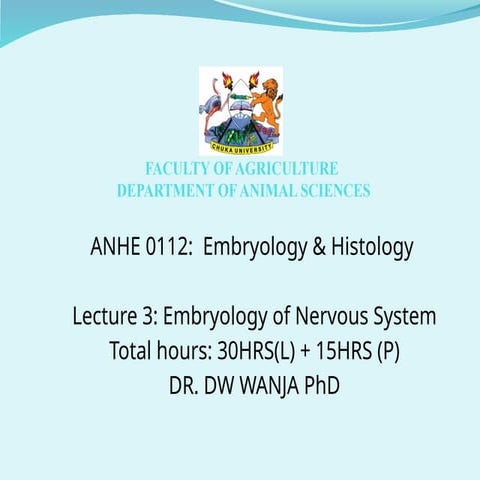 Comprehensive Embryology of the Nervous System: Development and ...