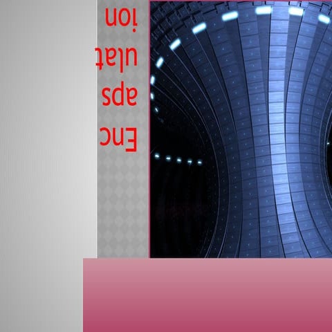 Comprehensive Guide to Encapsulation in Object-Oriented Programming | PPTX