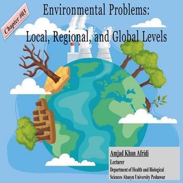 Environmental Problems (Local, Regional, and Global Levels)