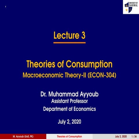 Theories of Consumption_Extended Version