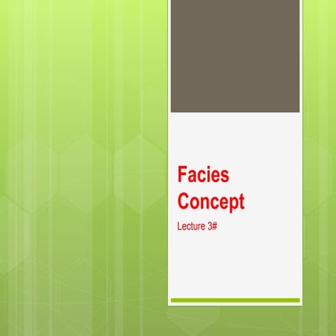 Facies Concept