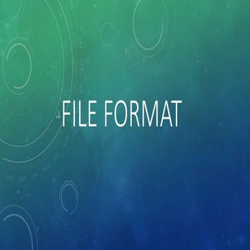 Lecture 3 file format