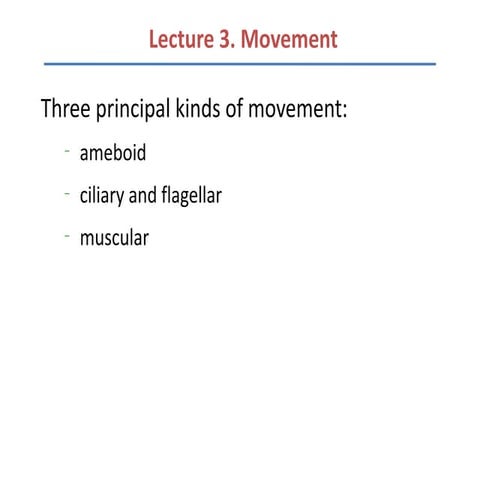 Lecture 3 movement 2nd sem 2008-2009
