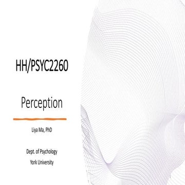 Scene perception | PDF