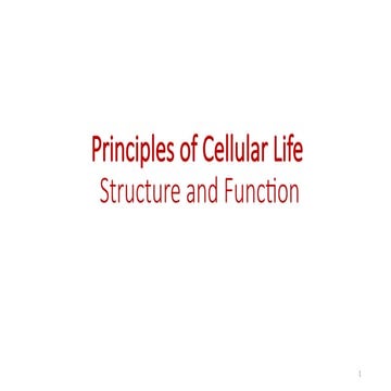 Principle of cellular life structure and function
