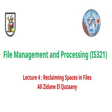 File organization introduction Lecture Lecture 4.pptx