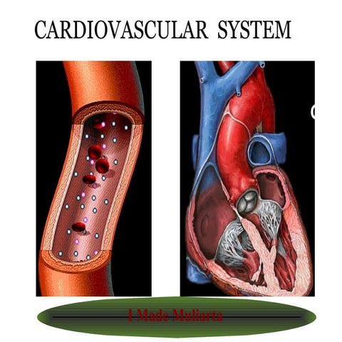 Cardiac muscle physiology | PPTX