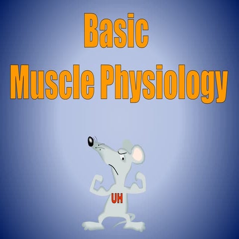 Lecture 4   muscle physiology(1)