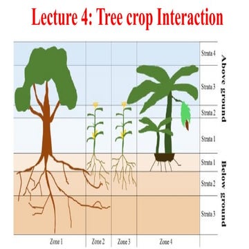 Lecture 4-Tree and Crop interaction in a agroforestry system.pptx