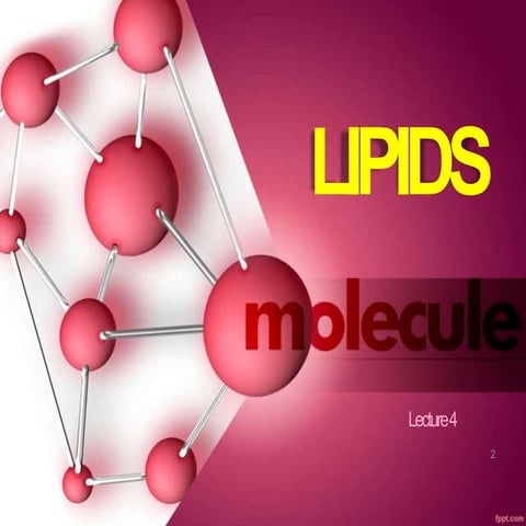 Lipids Molecule  Class study Lecture Notes