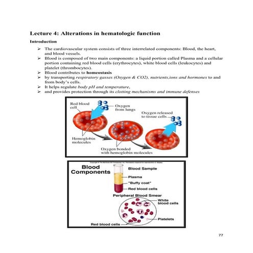 pathology - Hematology 