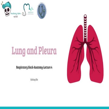 Lecture (4) Anatomy of Lung & Pleura.pdf