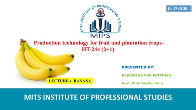 Cultivation practices of Banana